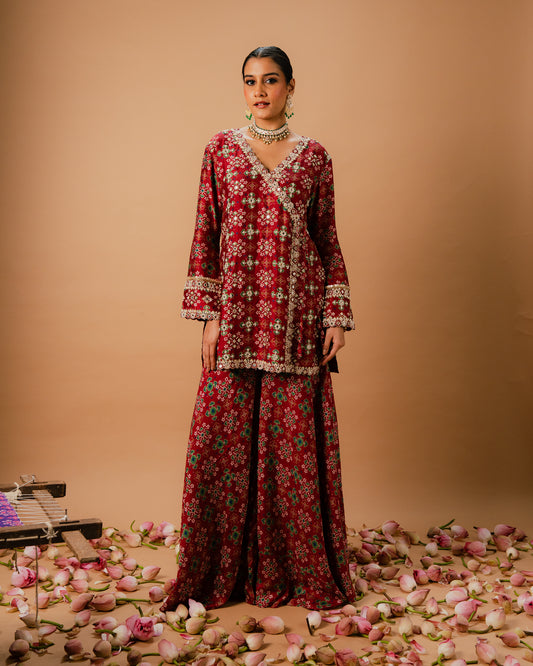 EMBROIDERED SHARARA SET