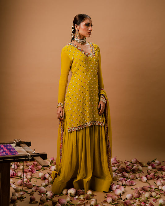 EMBROIDERED SHARARA SET